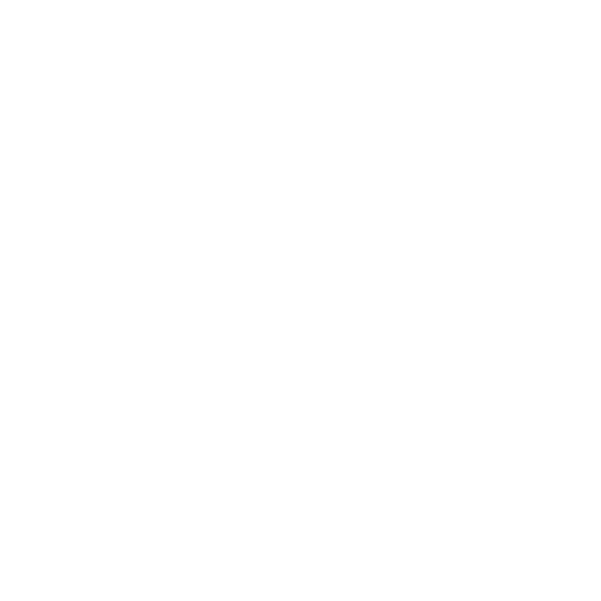 bamboo airline