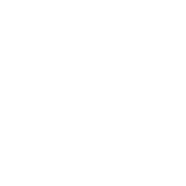 vietceramic