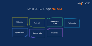 07 nguyên tắc lãnh đạo tạo ảnh hưởng theo mô hình lãnh đạo Cialdini.